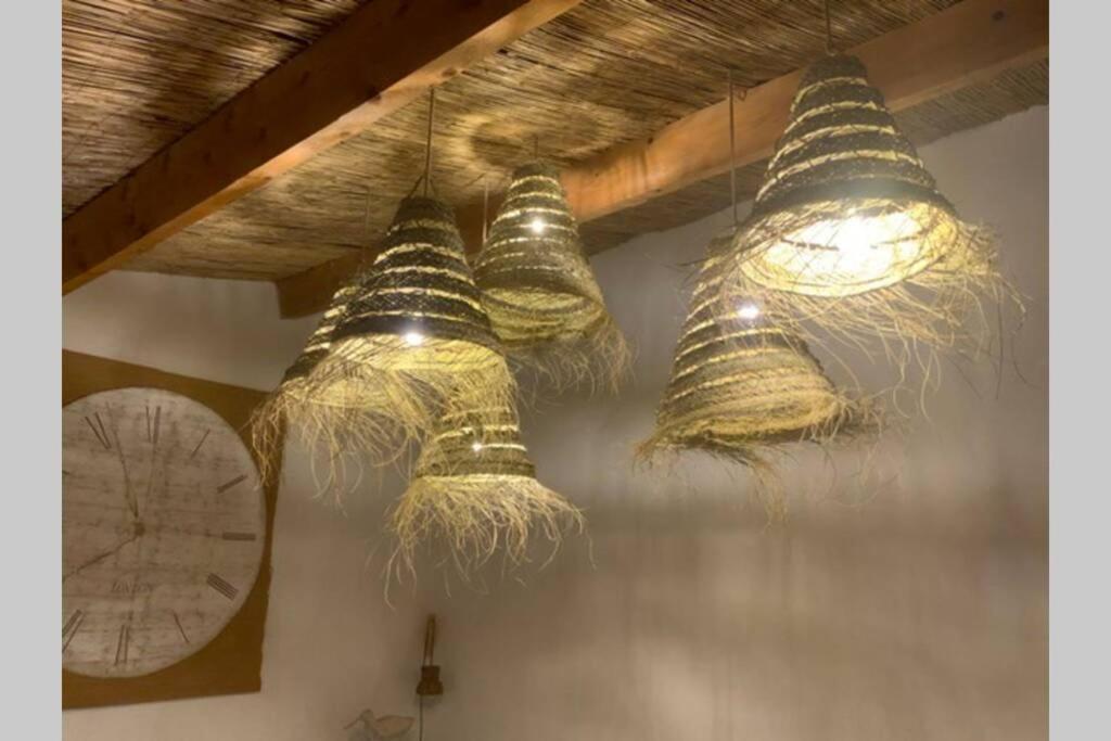 Gite Dans Les Pins Avec Piscine Mazan Exterior foto