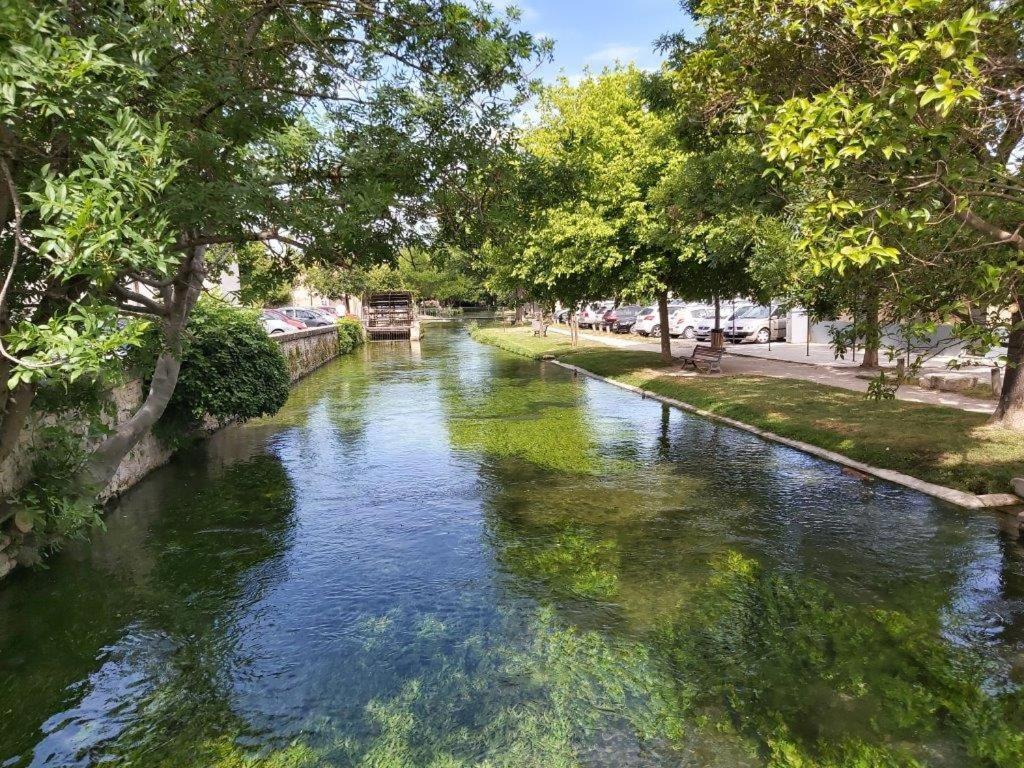 Gite Dans Les Pins Avec Piscine Mazan Exterior foto
