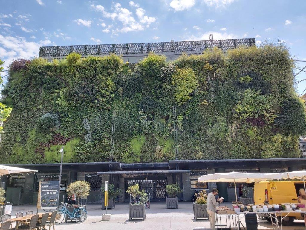 Gite Dans Les Pins Avec Piscine Mazan Exterior foto