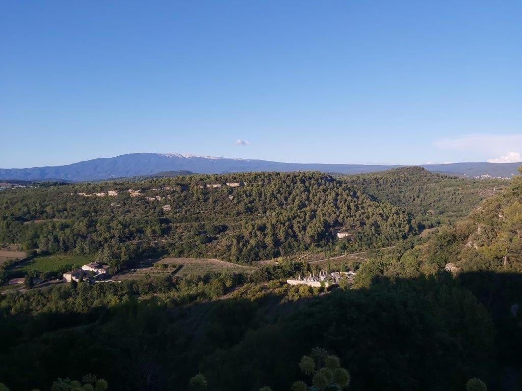 Gite Dans Les Pins Avec Piscine Mazan Exterior foto